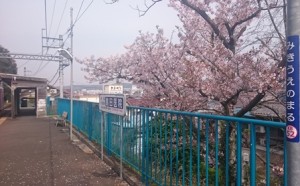 1604se (6)