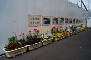 DSC02807