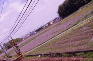 DSC02879