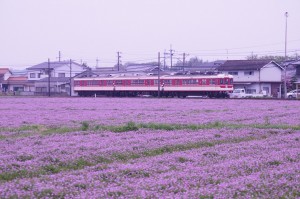 DSC02996