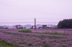 DSC03105