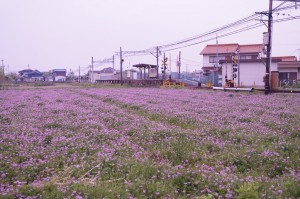 DSC03111