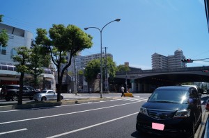 DSC04964