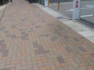 P1010815