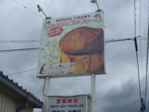 P1010886
