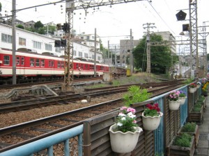 IMG_2280