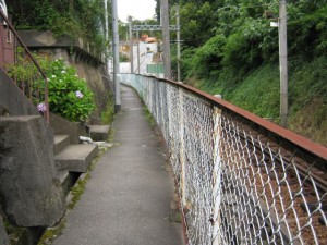 IMG_2287