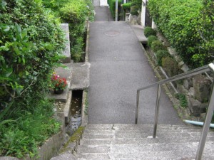 IMG_2288