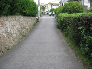 IMG_2289