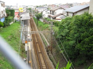 IMG_2290
