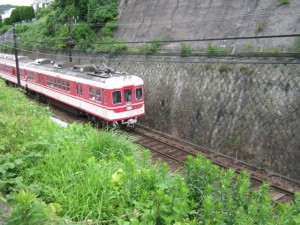 IMG_2300