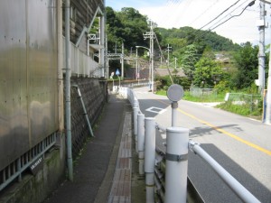 IMG_2880