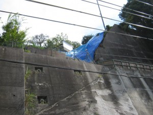 IMG_2884