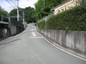IMG_2895