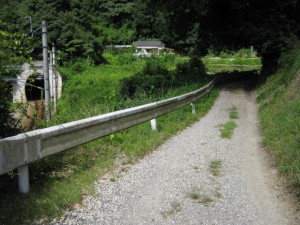 IMG_2897