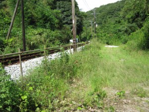 IMG_2904