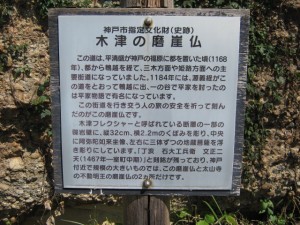 IMG_2915