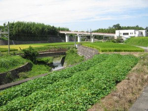 IMG_2953