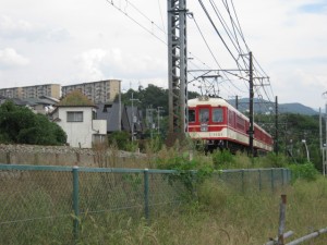IMG_3329