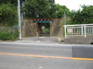 IMG_3347