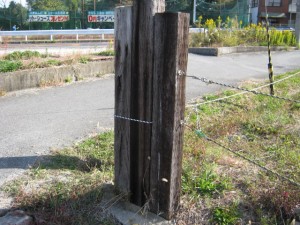IMG_3673