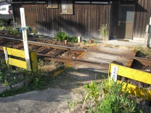 IMG_3758