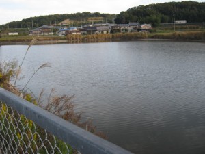 IMG_3768
