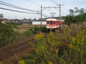 IMG_3771