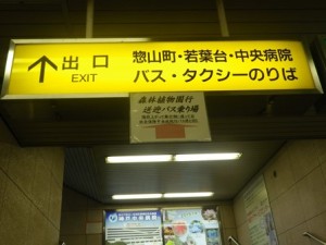 IMGP2428